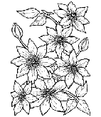 Velikost P - Květina 8x11 cm